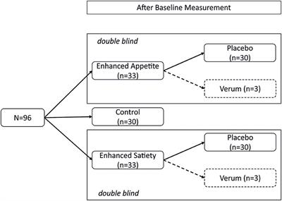 Effects of Placebo Interventions on Subjective and Objective Markers of Appetite–A Randomized Controlled Trial